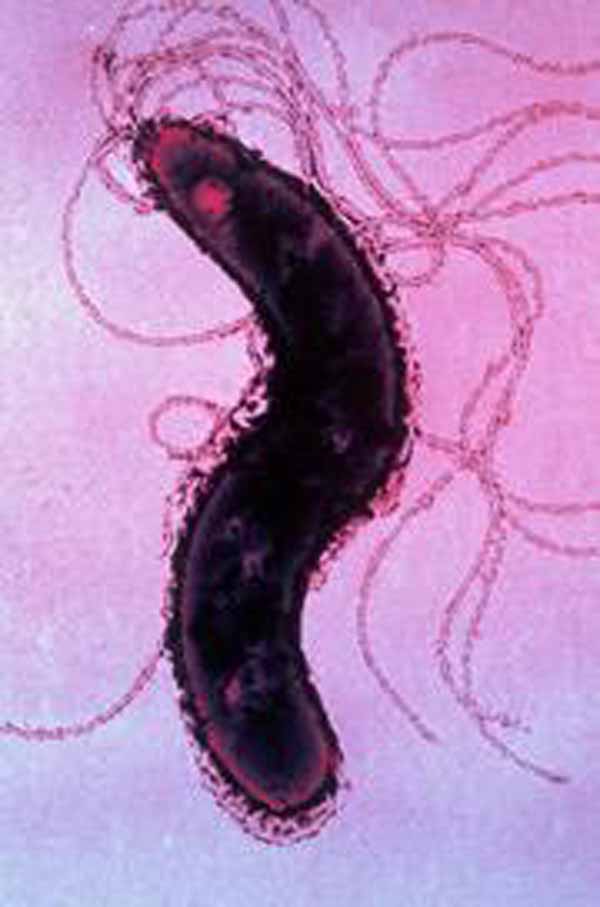 Wadati-Benioff zone.